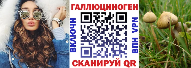 Псилоцибиновые грибы Psilocybe  Купить закладки  Шарыпово 