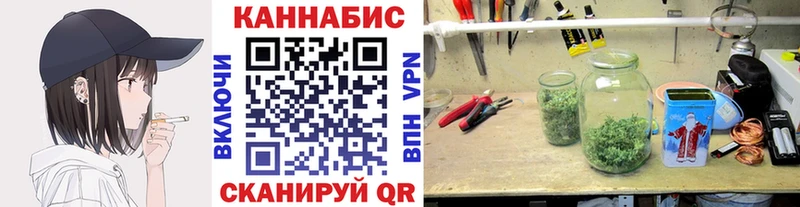 Каннабис план  Купить  Шарыпово 